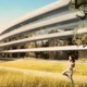Illustration for article titled Steve Jobs Wants To a Build a Spaceship-Like Campus in Cupertino